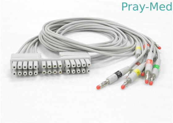 kupować Mortara Eli230 Kabel EKG / EKG z 10 przewodami odprowadzającymi Materiał TPU 9293-046-60 produkcja online