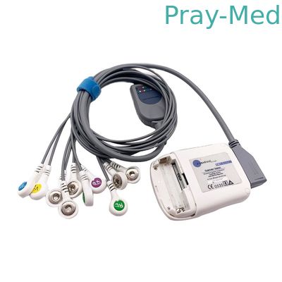 Borsam Holter Ecg Cable 10 Lead Grey 2m kompatybilny z Bs6930 BS6930-3